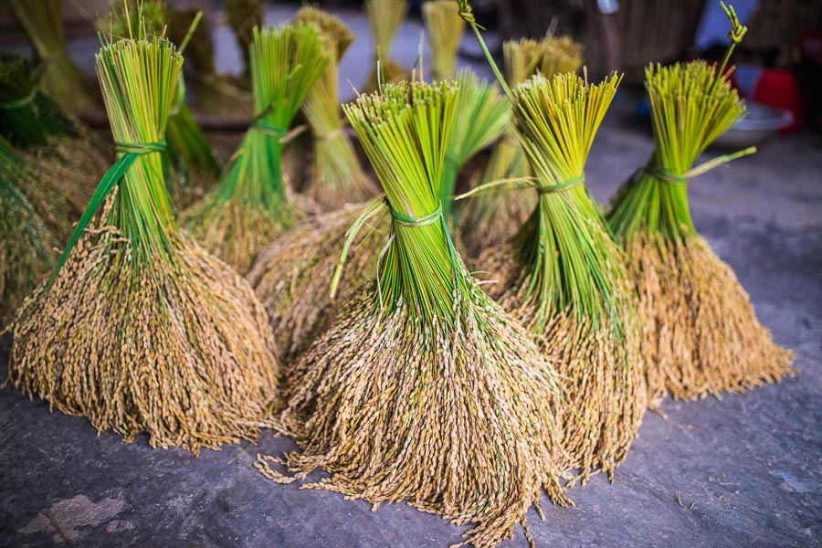 Hà Giang — 5