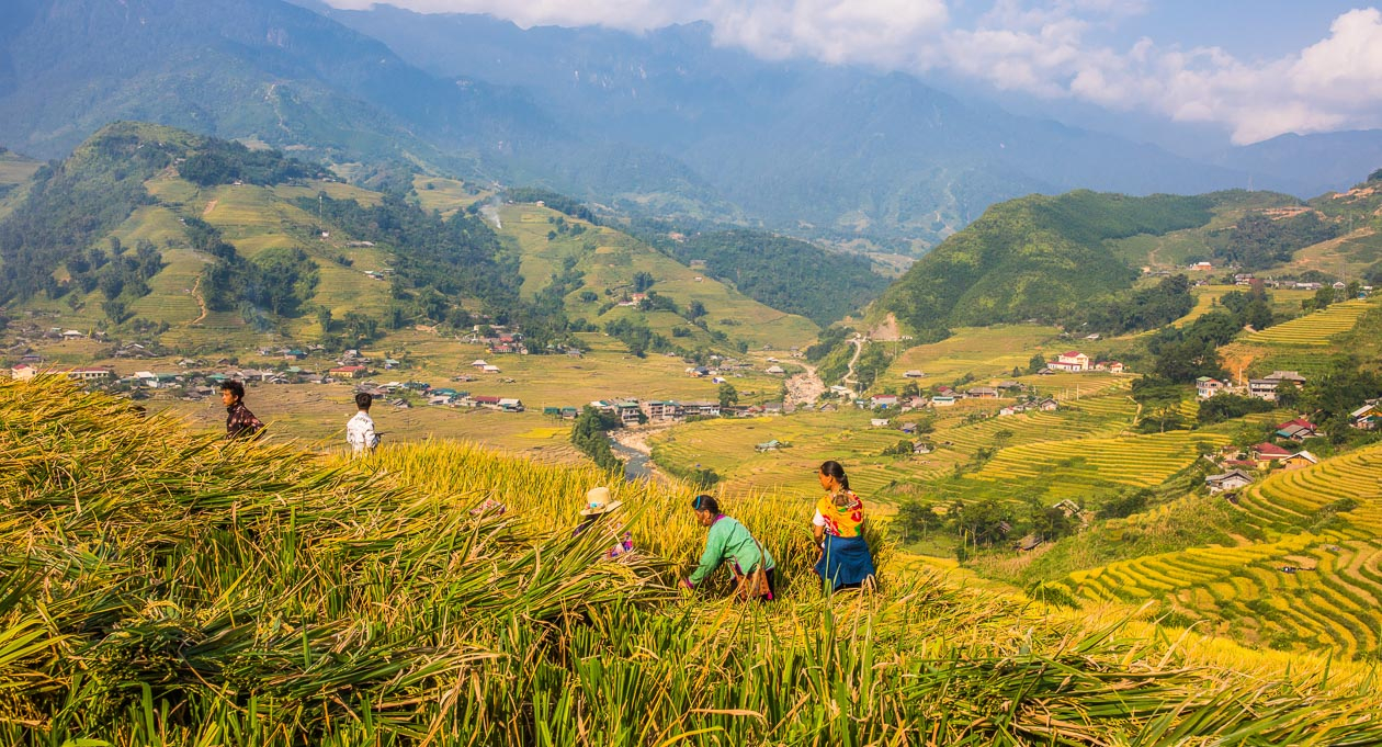 Sa Pa Vùng núi đẹp nhất Việt Nam