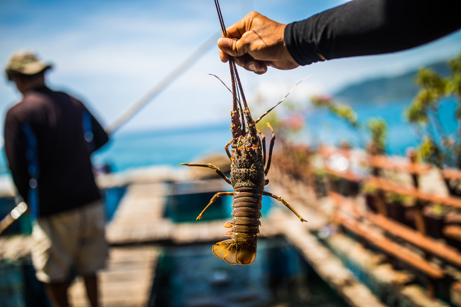 Nha Trang — 5
